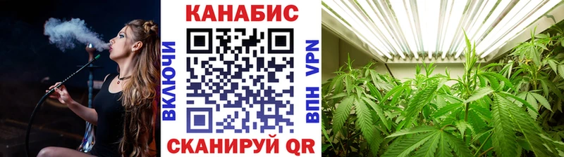 Каннабис OG Kush  Торопец 